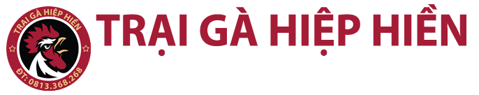 Trại gà Hiệp Hiền Quảng Ngãi